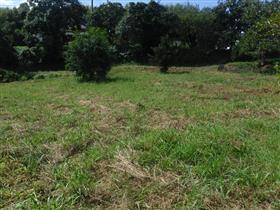 耕作放棄知写真例