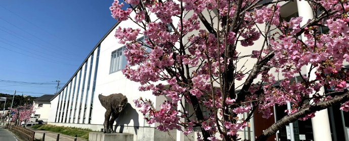 桜と恐竜博物館